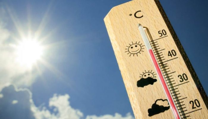 b97ec9017ac06a6b5b8106c1787df590