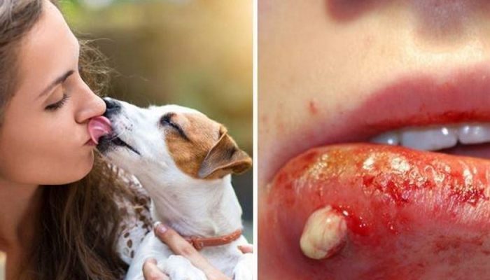 beijar-um-cachorro-1-1000x500-1