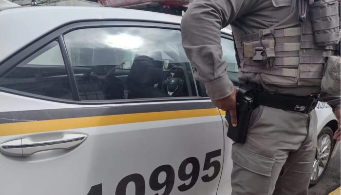 bm-reproducao-1024x684