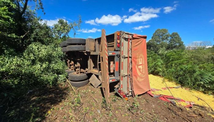 caminhão carregado de milho2