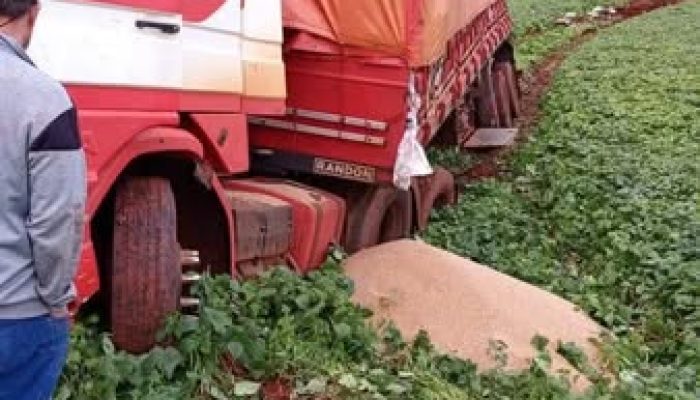 Foto: Portal da Cidade