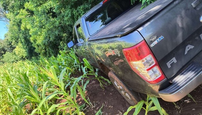 Foto: Divulgação BM