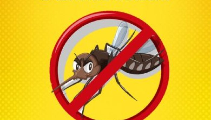 campanha-dengue-1-390x552