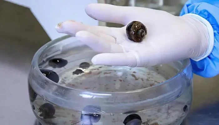 Foto: Josué Damacena / ABr / Divulgação