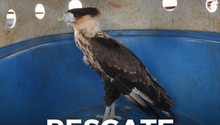 Foto: Brigada Militar