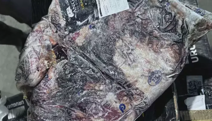 Foto: Reprodução/TV Globo