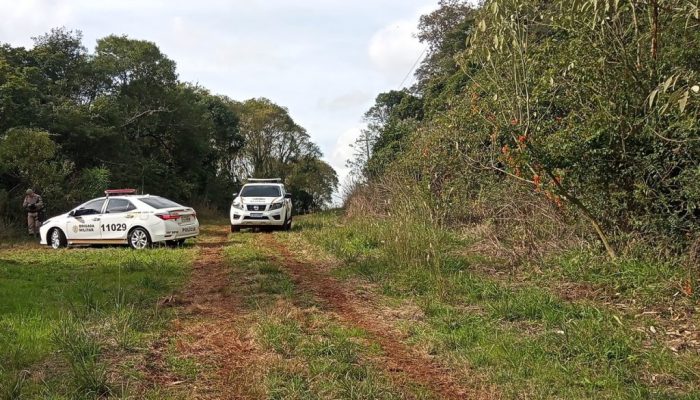 carros-recuperados-1024x693