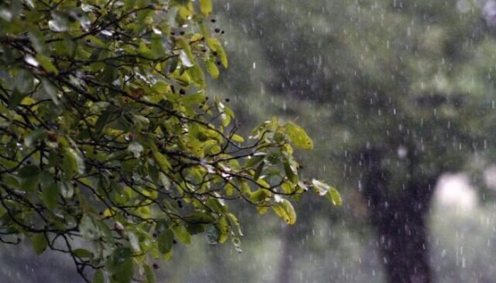 Imagem: Divulgação