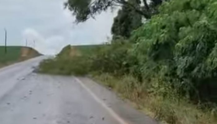 Foto: Reprodução vídeo