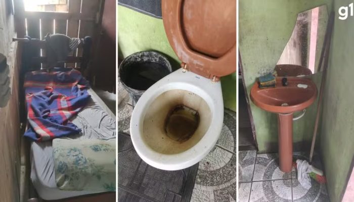 Foto: Divulgação/Polícia Civil