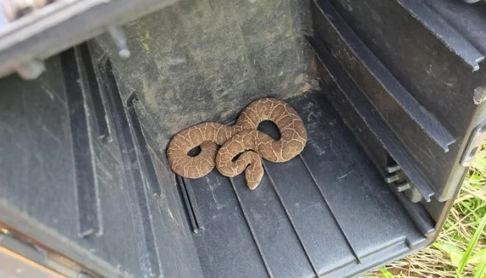 Foto: Associação Bombeiros Voluntários de Tupanciretã / Divulgaçã