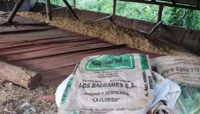 3° BABM / Divulgação