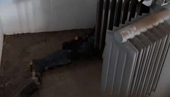 Fotos: Reprodução Grupo Planalto