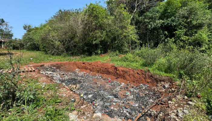 Foto: Divulgação Polícia Ambiental
