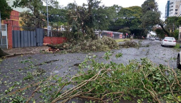 d34e9c12-a1ca-4ce0-994a-bd7384f2d94f-1024x768