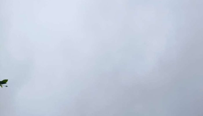 d9a6b933-f701-48de-af5b-f119515c2ad0