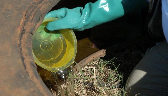 Foto: Paulo Vilani / Agencia RBS