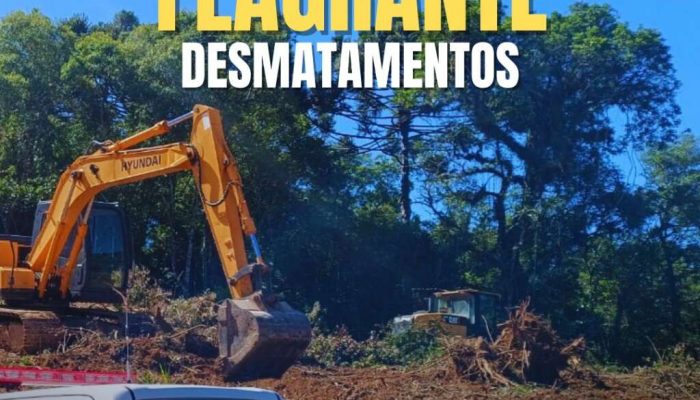 Imagens: 3° BPAmb BM