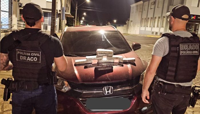 Foto: Draco Soledade