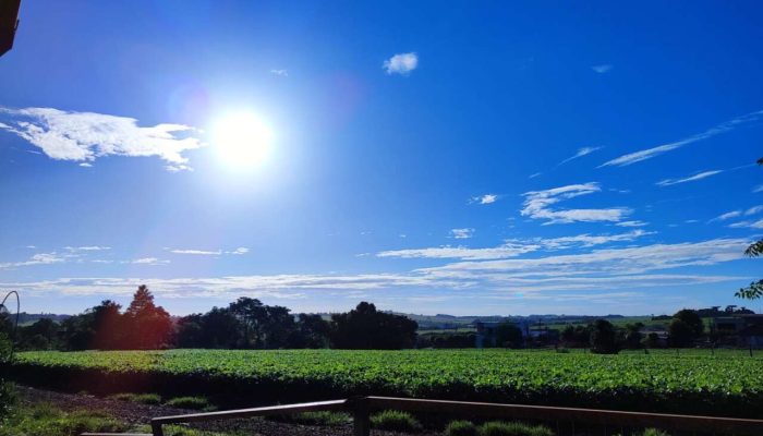 e1829dc5-c609-4dd7-8480-b8cf4c2ee3d3