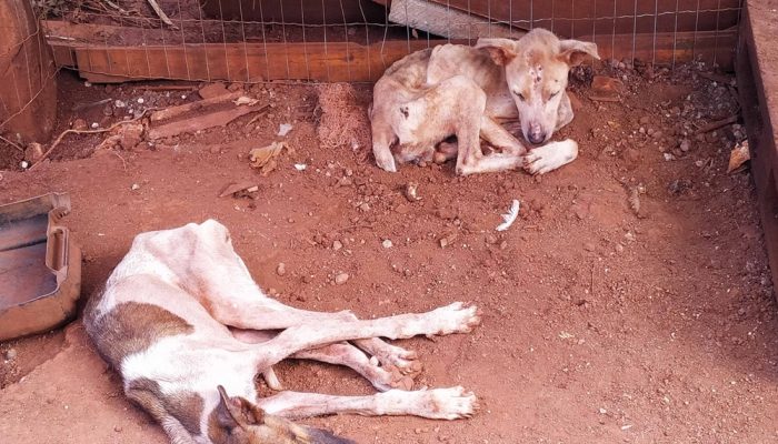 e21fcba42b56d5d62bb5afadd074f03f