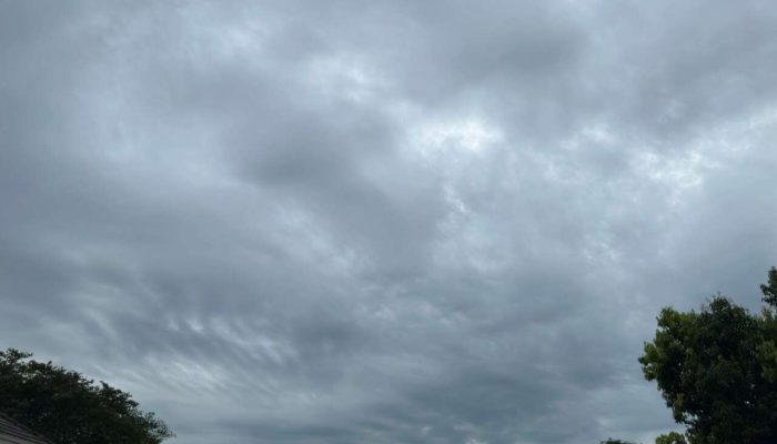 e2398a8d-16bd-4c91-ab9f-b61bdd3c9364