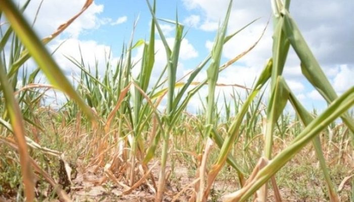 e643f61c0e864ccc93b2457f0fbcb4b4 (1)