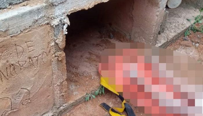 e6598471dbbac885c6fd0304b504259b