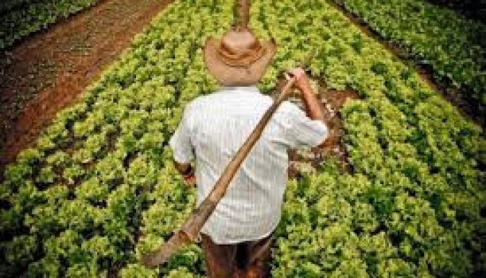 e79027a55953c51b95b12d79fb57e969