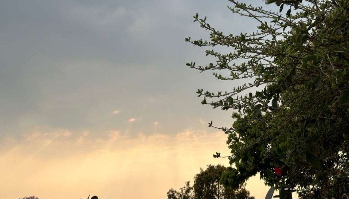 e82af3ec-4f6a-4f9b-bbd6-c701121deff6