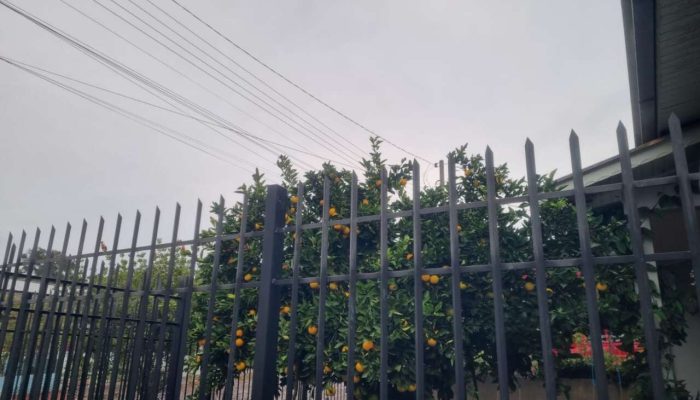 ec220358-b8b9-4bb0-a101-8f7d89ad8693