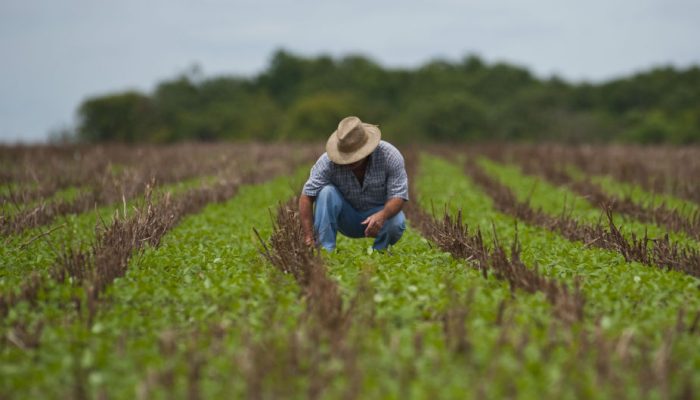 engenheiro-agronomo