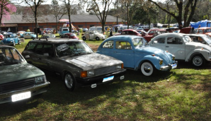 ergergergergergergergergerg