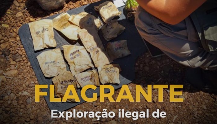 exploração-do-patrimônio