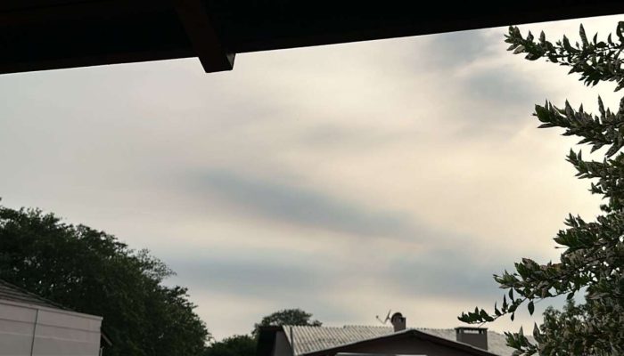 f09449fd-7185-4e35-9744-a615b16fed2a