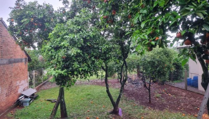 f162b864-4eb2-4406-b0bc-8b69f123a087