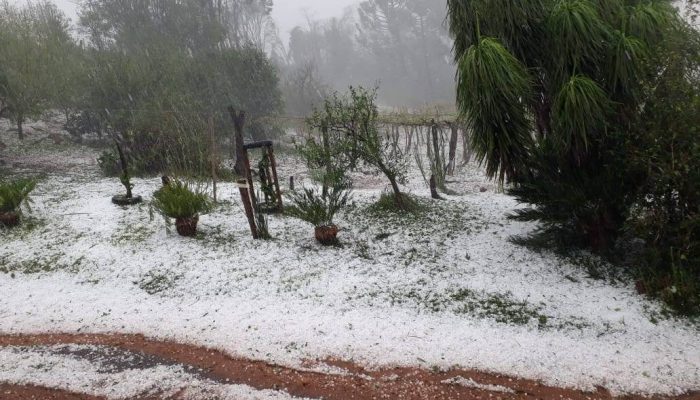 f6HWU8rPp5POtWFRJBcw4pGiBKCx8k6MJMbGothZ