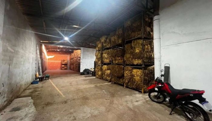 Foto: Polícia Federal