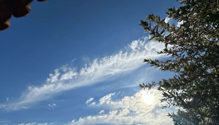 fb16b885-2026-4b3b-808b-719ca5b731a7