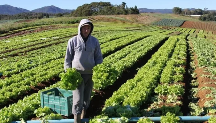 Foto: MDA / Divulgação