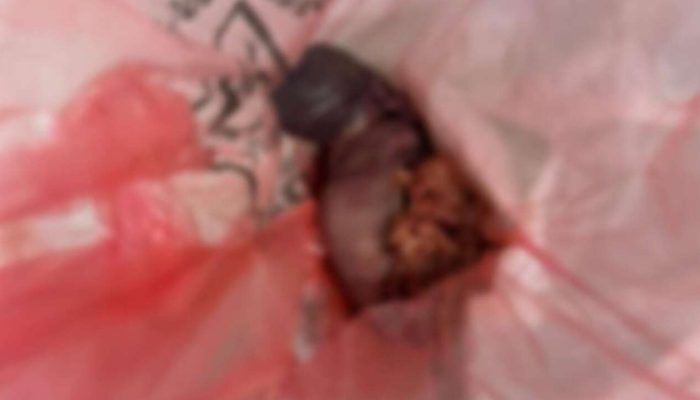 Foto: Divulgação/Reprodução