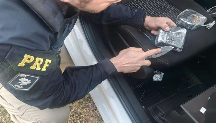 ff82a324-d881-4c35-be1c-ed142e4553b4