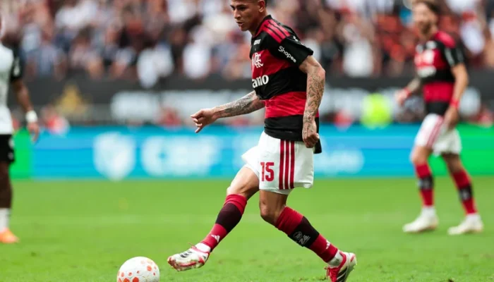 Foto : Gilvan de Souza / Flamengo