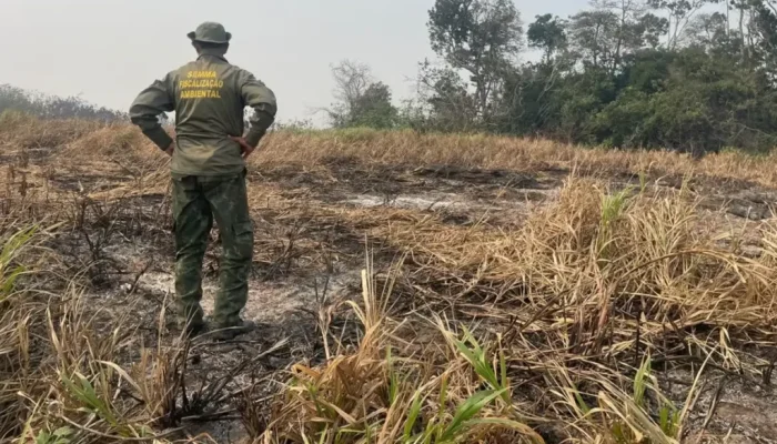 fogo_em_santarem-1024x613