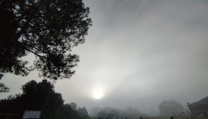 frio-e-geada-agora-no-vale-3