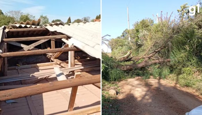 Foto: Divulgação/ Defesa Civil de São Martinho da Serra