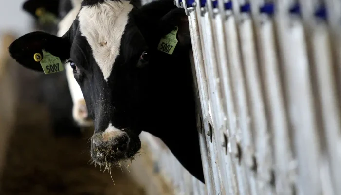 Foto: Aaron Josefczyk/Reuters/direitos reservados
