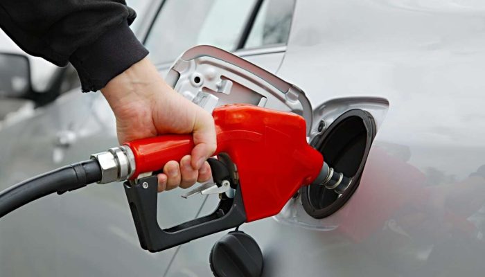 gasolina