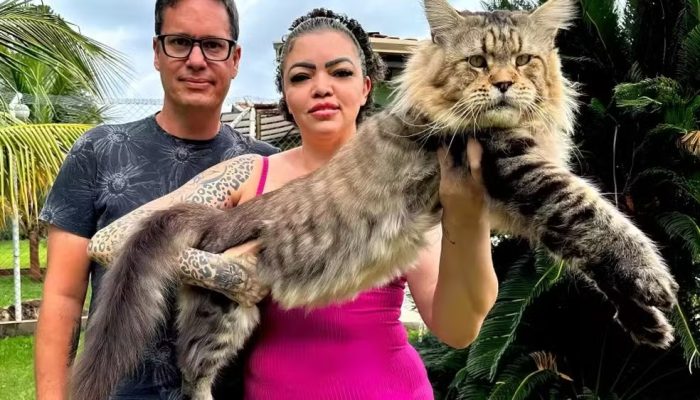 Foto: Arquivo Pessoal