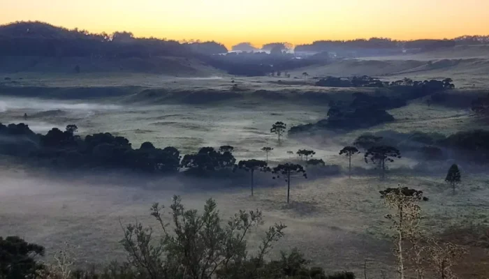 Foto: Reprodução Jornal Razão